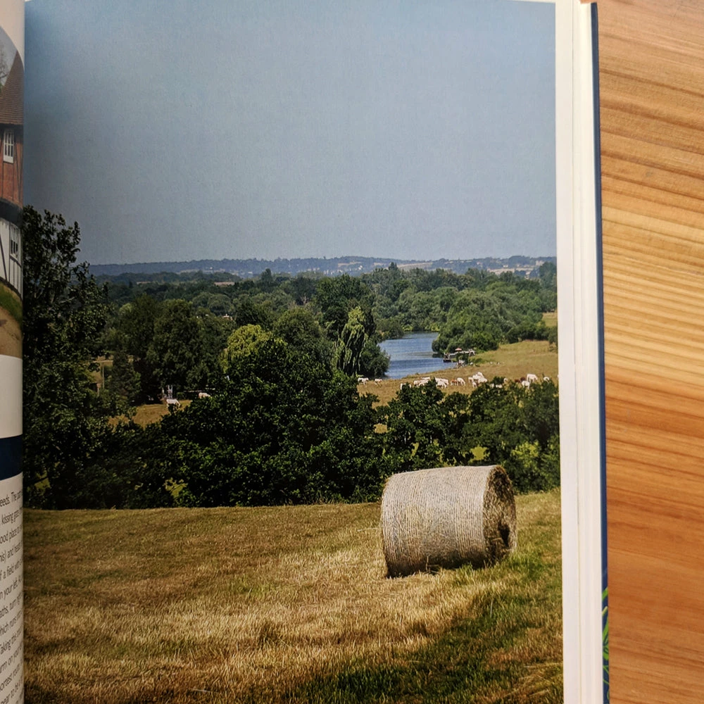 Wild Swimming Walks - Around London - Margaret Dickinson - Image 4