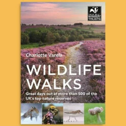 Wildlife Walks - Charlotte Varela
