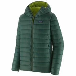Patagonia Men's Down Sweater Hoody - Pinyon Green