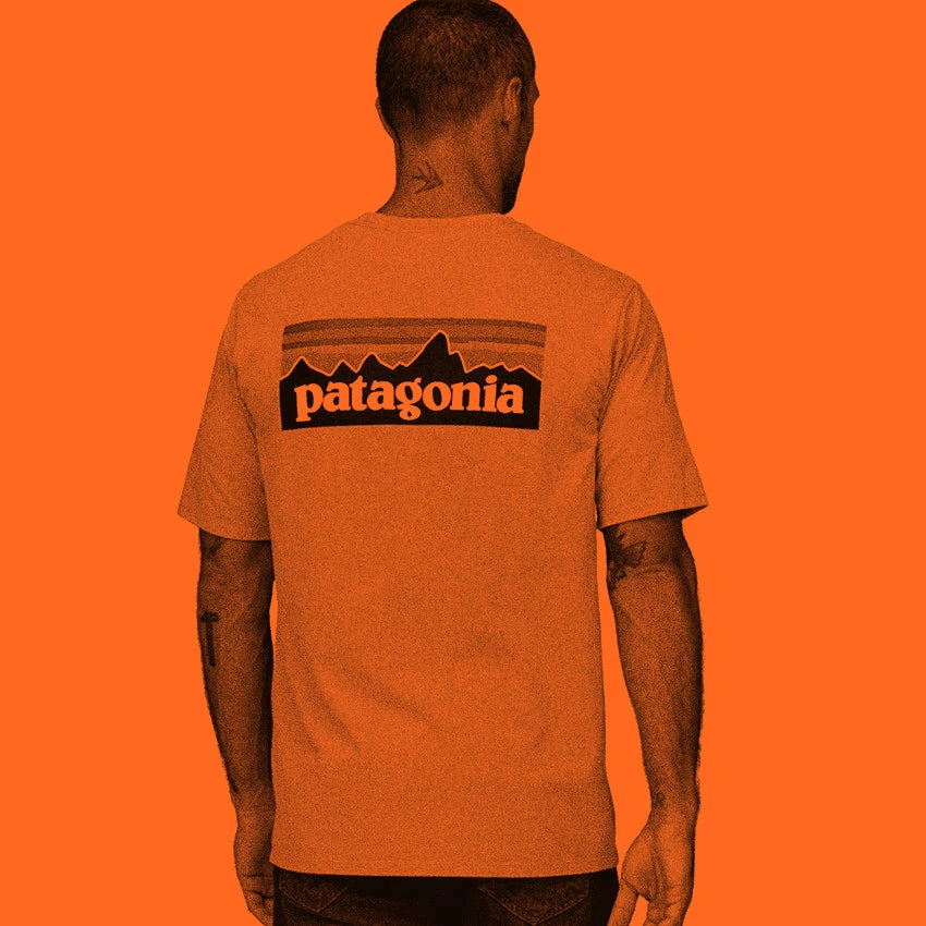 Patagonia Men's P-6 Logo Responsibili-Tee - Salvia Green - Image 5